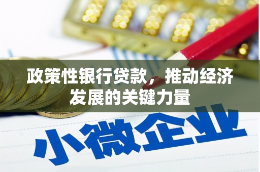 固阳政策性银行贷款，推动经济发展的关键力量