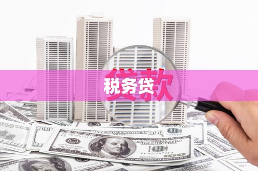 固阳税务贷