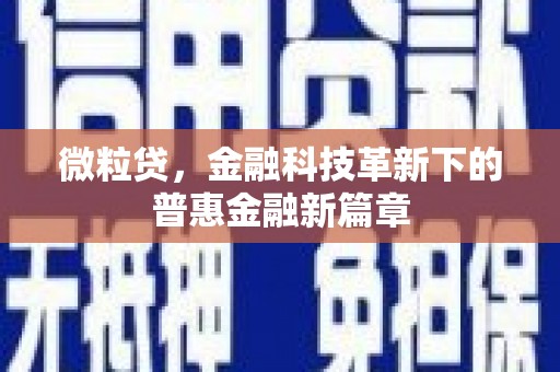固阳微粒贷，金融科技革新下的普惠金融新篇章