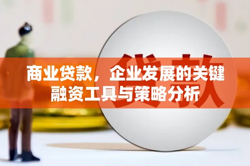 固阳商业贷款，企业发展的关键融资工具与策略分析