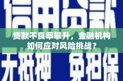 固阳贷款不良率攀升，金融机构如何应对风险挑战？