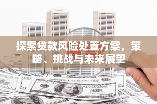 固阳探索贷款风险处置方案，策略、挑战与未来展望