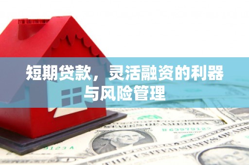 固阳短期贷款，灵活融资的利器与风险管理