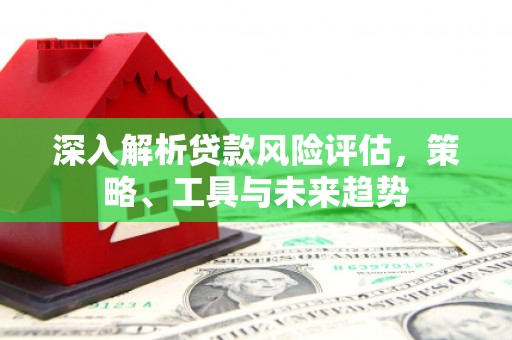 固阳深入解析贷款风险评估，策略、工具与未来趋势