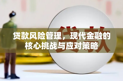 固阳贷款风险管理，现代金融的核心挑战与应对策略
