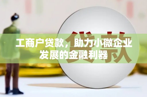 固阳工商户贷款，助力小微企业发展的金融利器