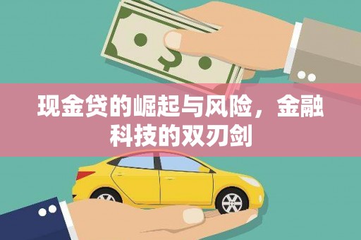 固阳现金贷的崛起与风险，金融科技的双刃剑