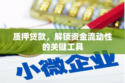 固阳质押贷款，解锁资金流动性的关键工具