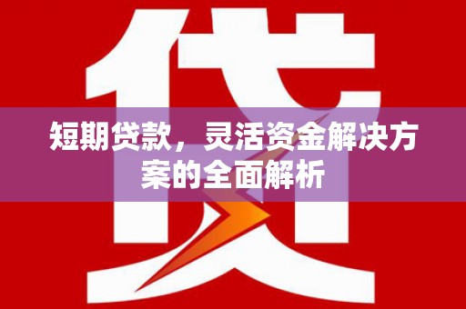 固阳短期贷款，灵活资金解决方案的全面解析