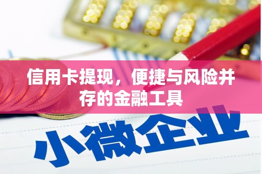 固阳信用卡提现，便捷与风险并存的金融工具