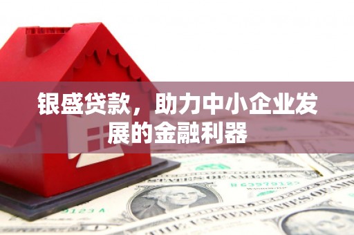 固阳银盛贷款，助力中小企业发展的金融利器