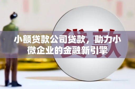 固阳小额贷款公司贷款，助力小微企业的金融新引擎