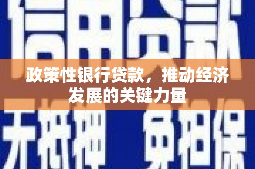 固阳政策性银行贷款，推动经济发展的关键力量