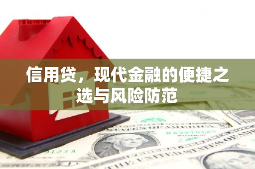 固阳信用贷，现代金融的便捷之选与风险防范