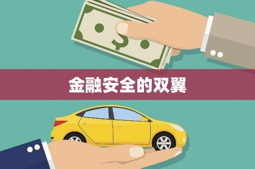 固阳金融安全的双翼