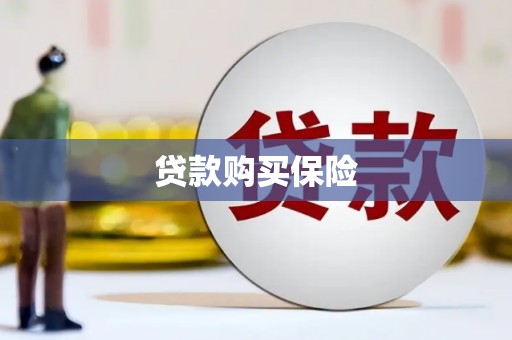 固阳贷款购买保险