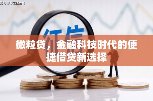 固阳微粒贷，金融科技时代的便捷借贷新选择