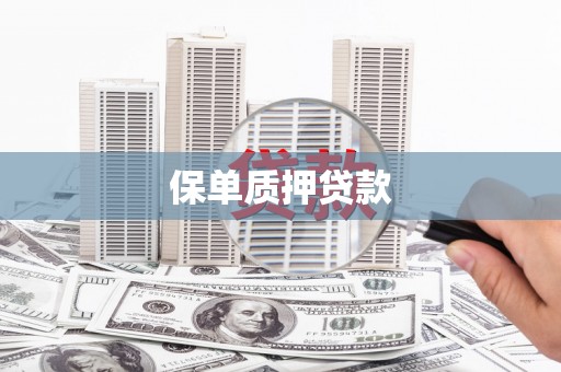 固阳保单质押贷款