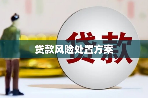 固阳贷款风险处置方案