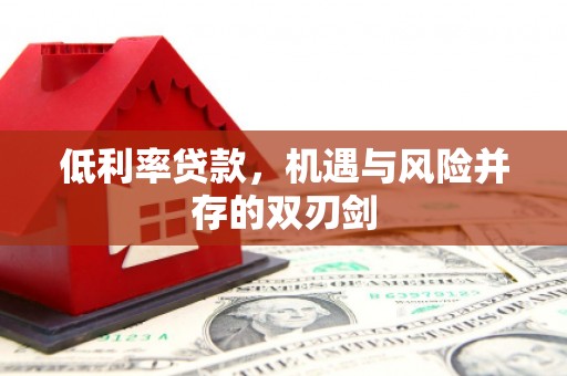固阳低利率贷款，机遇与风险并存的双刃剑