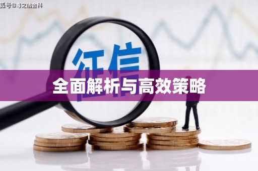 固阳全面解析与高效策略
