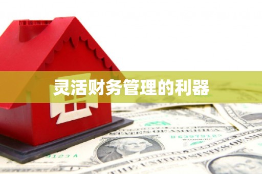 固阳灵活财务管理的利器