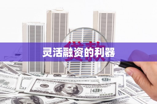 固阳灵活融资的利器