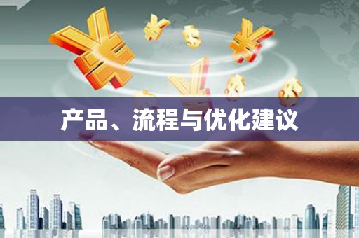 固阳产品、流程与优化建议