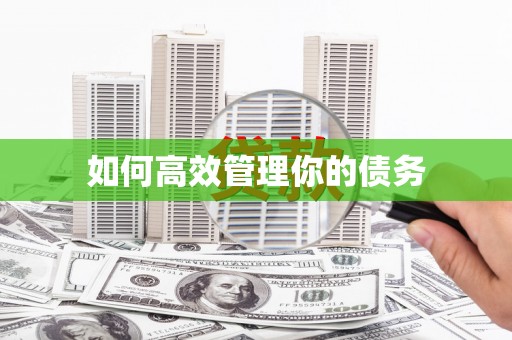 固阳如何高效管理你的债务