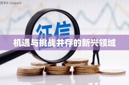 固阳机遇与挑战并存的新兴领域