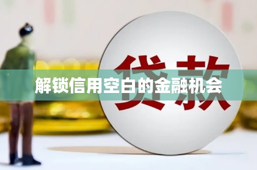 固阳解锁信用空白的金融机会