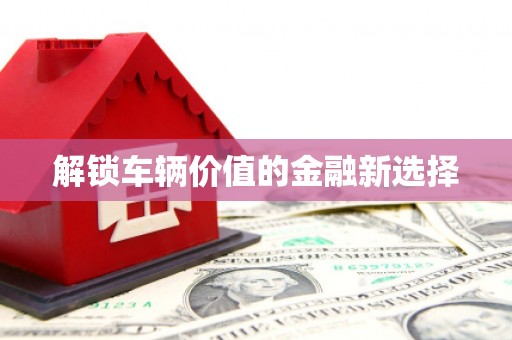 固阳解锁车辆价值的金融新选择