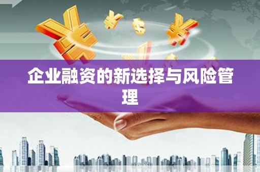 固阳企业融资的新选择与风险管理