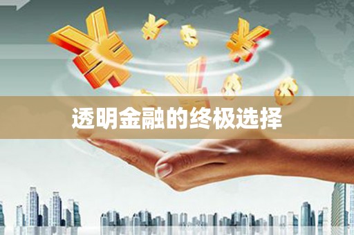 固阳透明金融的终极选择