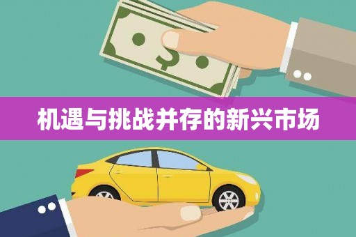 固阳机遇与挑战并存的新兴市场