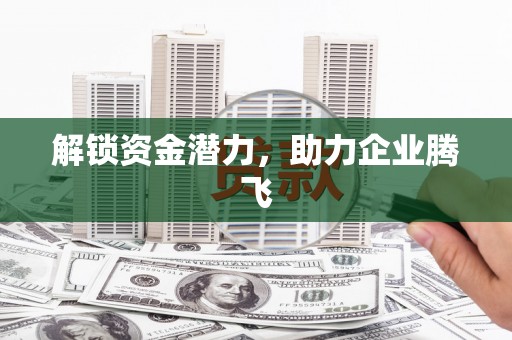 固阳解锁资金潜力，助力企业腾飞