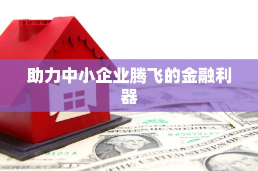 固阳助力中小企业腾飞的金融利器