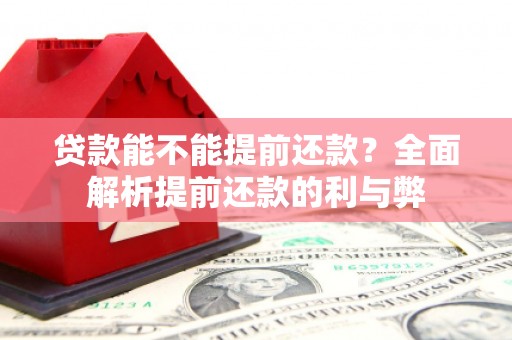 固阳贷款能不能提前还款？全面解析提前还款的利与弊