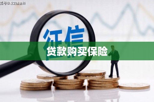 固阳贷款购买保险