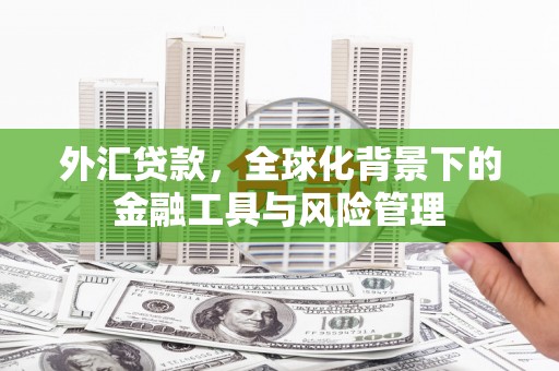 固阳外汇贷款，全球化背景下的金融工具与风险管理
