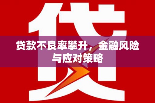 固阳贷款不良率攀升，金融风险与应对策略
